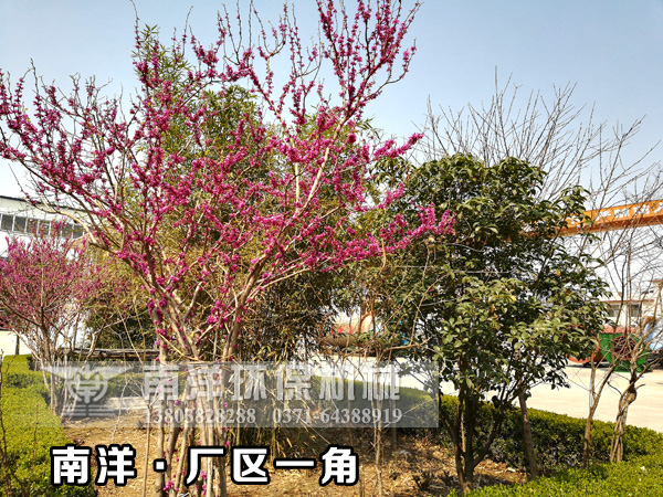 91亚色视频免费观看環保廠區一角