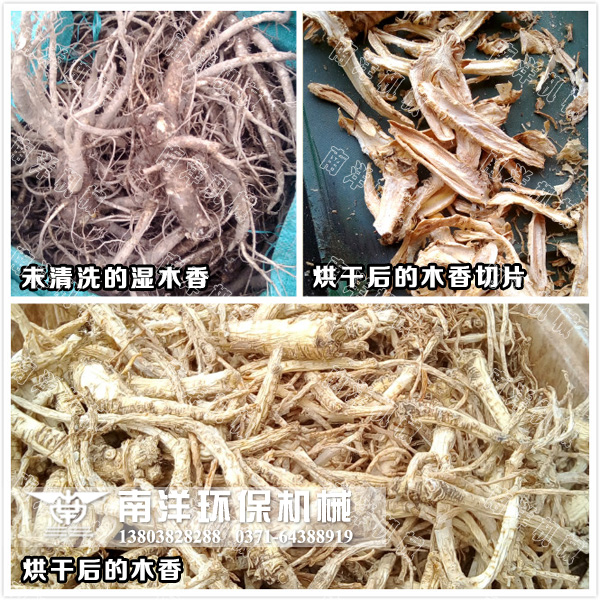 烘幹後的木香